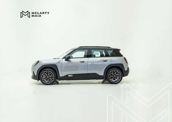 MINI-ACEMAN-2025