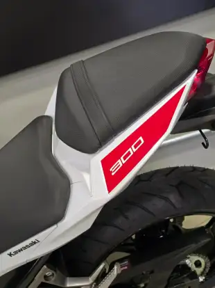KAWASAKI-NINJA 300-2026