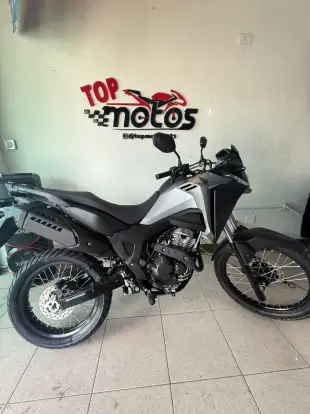 HONDA-XRE 300 SAHARA RALLY HONDA-XRE 300 SAHARA RALLY-2025