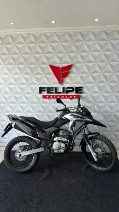 HONDA XRE 300 