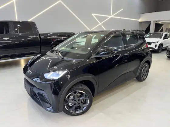 BYD DOLPHIN MINI 38 KW ELÉTRICO GS