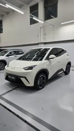 BYD DOLPHIN MINI 38 KW ELÉTRICO