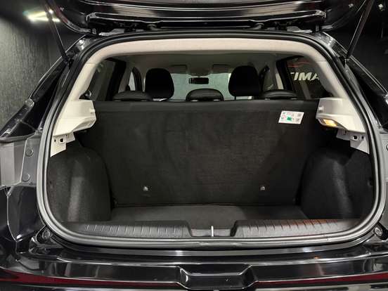 FIAT-PULSE-2023
