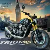 TRIUMPH SPEED 400 TRIUMPH SPEED 400