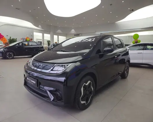 BYD DOLPHIN 44,9 KW ELÉTRICO GS