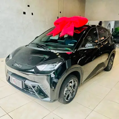 BYD DOLPHIN MINI 38 KW ELÉTRICO GS