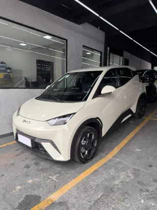 BYD DOLPHIN MINI 38 KW ELÉTRICO GL