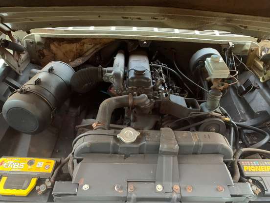 CHEVROLET-D10-1982