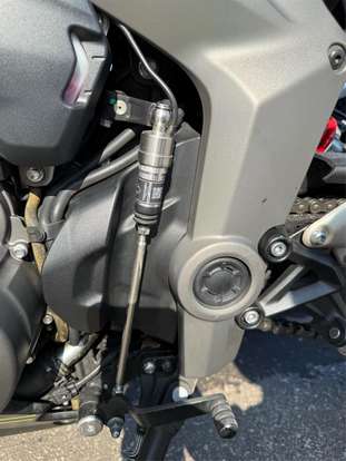 TRIUMPH-DAYTONA 660-2024