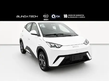BYD DOLPHIN MINI 38 KW ELÉTRICO GL BYD DOLPHIN MINI 38 KW ELÉTRICO GL