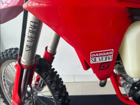 GAS GAS-EC 250 F-2025
