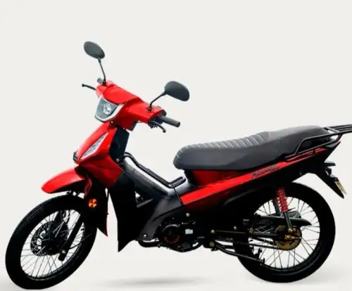 SHINERAY-PHOENIX S 50 EFI-2026