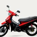 SHINERAY PHOENIX S 50 EFI SHINERAY PHOENIX S 50 EFI