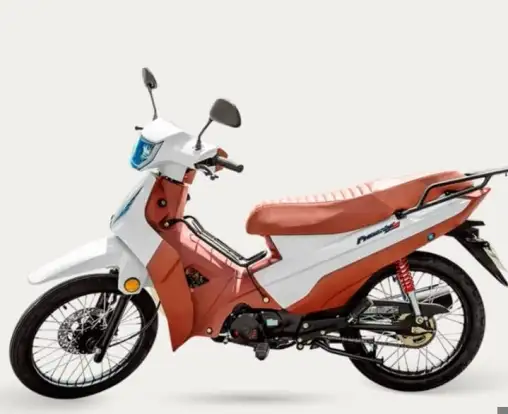 SHINERAY-PHOENIX S 50 EFI-2026