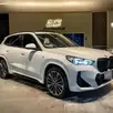 BMW X1 2.0 16V TURBO GASOLINA SDRIVE20I M SPORT STEPTRONIC BMW X1 2.0 16V TURBO GASOLINA SDRIVE20I M SPORT STEPTRONIC