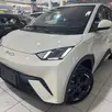 BYD DOLPHIN MINI 38 KW ELÉTRICO GS BYD DOLPHIN MINI 38 KW ELÉTRICO GS