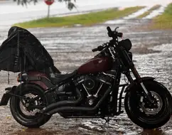 HARLEY-DAVIDSON SOFTAIL FAT BOB 107 HARLEY-DAVIDSON SOFTAIL FAT BOB 107