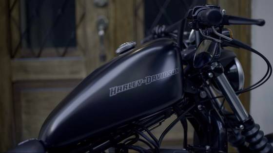 HARLEY-DAVIDSON SPORTSTER XL 883N IRON 