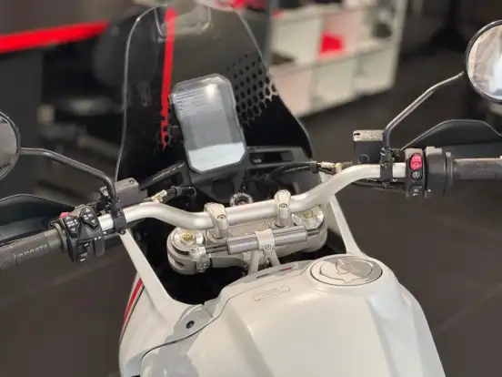 DUCATI-DESERT X DUCATI-DESERT X-2024