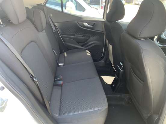 FIAT-PULSE-2024