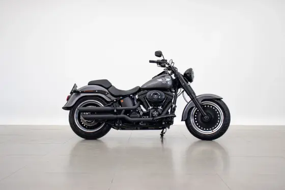 HARLEY-DAVIDSON SOFTAIL FAT BOY SPECIAL 