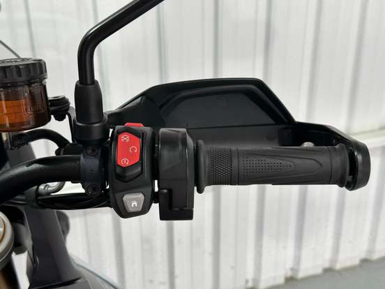 TRIUMPH-TIGER 900 RALLY PRO-2024