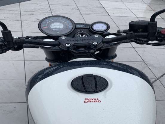 ROYAL ENFIELD-SHOTGUN 650 STENCIL WHITE ROYAL ENFIELD-SHOTGUN 650 STENCIL WHITE-2025