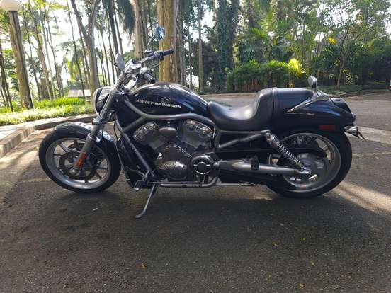 HARLEY-DAVIDSON-V-ROD HARLEY-DAVIDSON-V-ROD-2003