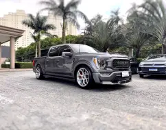 FORD F-150 5.0 V8 SHELBY SUPER SNAKE 4WD SELECTSHIFT FORD F-150 5.0 V8 SHELBY SUPER SNAKE 4WD SELECTSHIFT