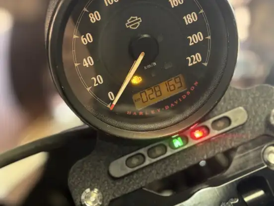 HARLEY-DAVIDSON-SPORTSTER IRON 1200 HARLEY-DAVIDSON-SPORTSTER IRON 1200-2019