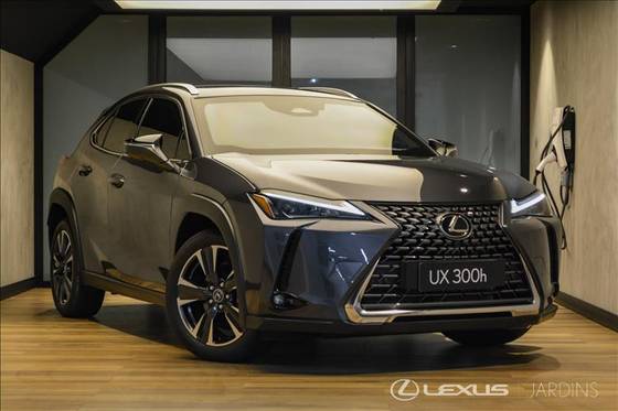 LEXUS UX 300h 2.0 VVT-I HYBRID CVT