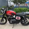 TRIUMPH STREET SCRAMBLER TRIUMPH STREET SCRAMBLER