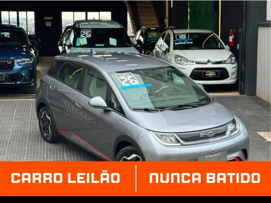 BYD DOLPHIN 44,9 KW ELÉTRICO GS BYD DOLPHIN 44,9 KW ELÉTRICO GS