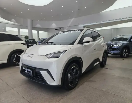 BYD DOLPHIN MINI 38 KW ELÉTRICO 5L