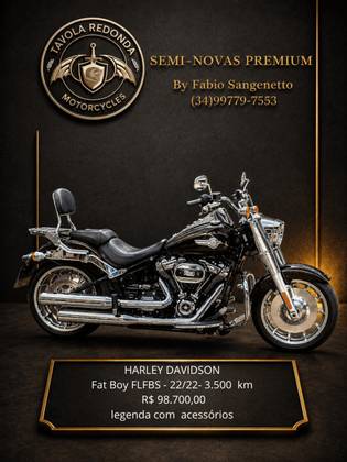 HARLEY-DAVIDSON SOFTAIL FAT BOY 114 
