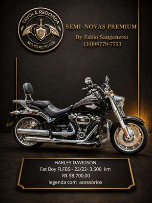 HARLEY-DAVIDSON-SOFTAIL FAT BOY 114-2022