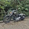 HARLEY-DAVIDSON SOFTAIL BREAKOUT HARLEY-DAVIDSON SOFTAIL BREAKOUT