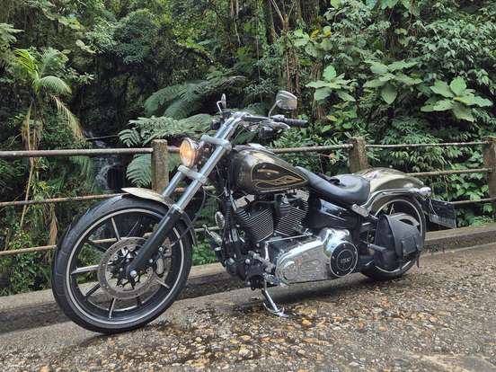 HARLEY-DAVIDSON-SOFTAIL BREAKOUT HARLEY-DAVIDSON-SOFTAIL BREAKOUT-2015