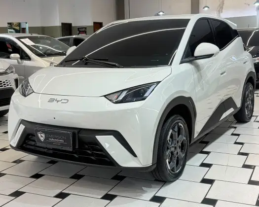 BYD DOLPHIN MINI 38 KW ELÉTRICO GS BYD DOLPHIN MINI 38 KW ELÉTRICO GS