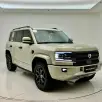 DENZA B5 1.5 TURBO PHEV AWD AUTOMÁTICO DENZA B5 1.5 TURBO PHEV AWD AUTOMÁTICO