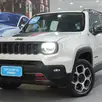 JEEP RENEGADE 1.3 T270 TURBO FLEX TRAILHAWK 4X4 AT9 JEEP RENEGADE 1.3 T270 TURBO FLEX TRAILHAWK 4X4 AT9