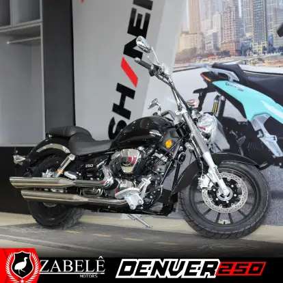 SHINERAY-DENVER 250-2025