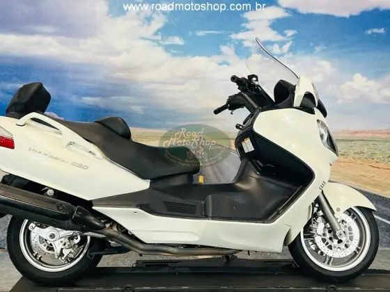 SUZUKI BURGMAN 650 SUZUKI BURGMAN 650
