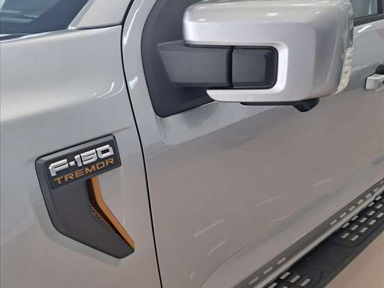 FORD-F-150-5.0 V8 GASOLINA CD TREMOR FX4 AUTOMÁTICO FORD-F-150-2025