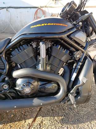 HARLEY-DAVIDSON-NIGHT ROD SPECIAL HARLEY-DAVIDSON-NIGHT ROD SPECIAL-2013