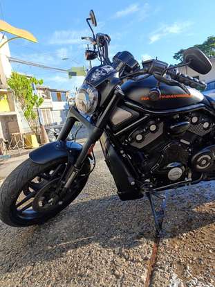 HARLEY-DAVIDSON-NIGHT ROD SPECIAL HARLEY-DAVIDSON-NIGHT ROD SPECIAL-2013