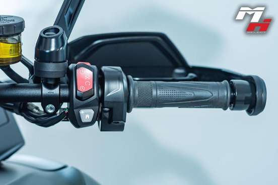 TRIUMPH-TIGER 1200 RALLY EXPLORER-2022