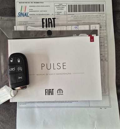 FIAT-PULSE-2024