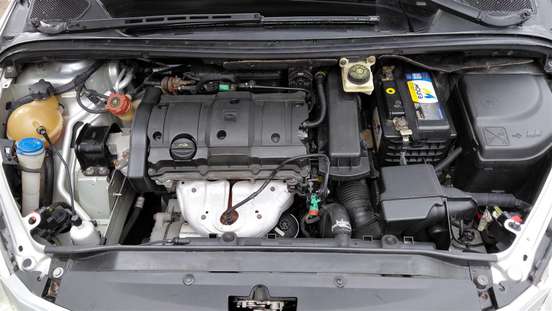 PEUGEOT-307-2009