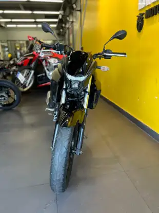 YAMAHA-FZ25 FAZER ABS YAMAHA-FZ25 FAZER ABS-2024